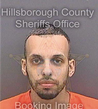 Gonzalez Michael - Hillsborough County, FL 