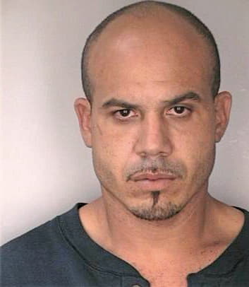 Tirado Reinaldo - Hillsborough County, FL 