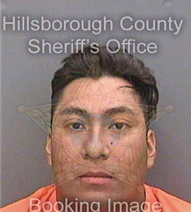 Santiago Rudolfo - Hillsborough County, FL 