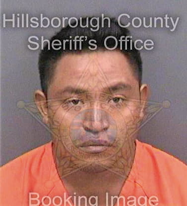 Meregildo Juan - Hillsborough County, FL 