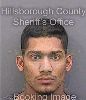 Simon Nathan - Hillsborough County, FL 