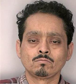 Mejia Erick - Hillsborough County, FL 