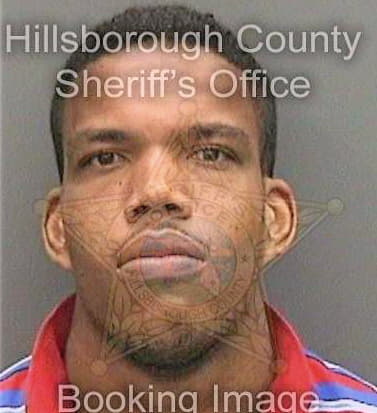 Santiagonunez Jose - Hillsborough County, FL 