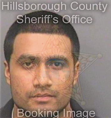 Patel Pinkesh - Hillsborough County, FL 