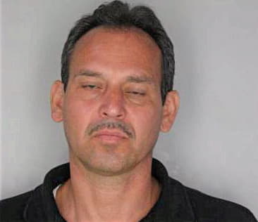Borges Valentin - Hillsborough County, FL 