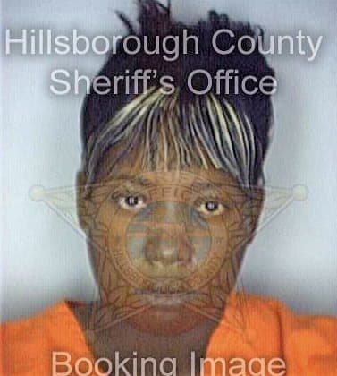 Mcdonald Tiffany - Hillsborough County, FL 