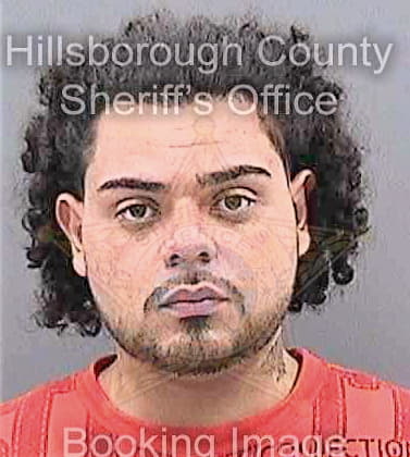 Ventura Hector - Hillsborough County, FL 