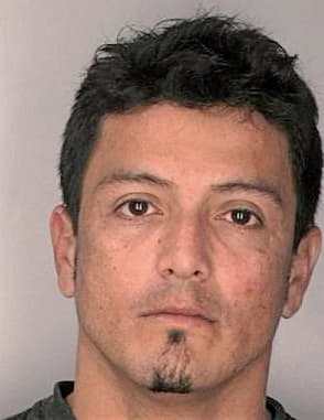 Silva Ronny - Hillsborough County, FL 