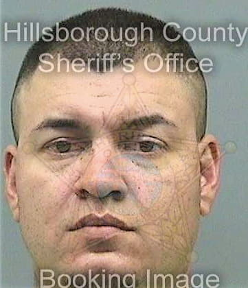 Fernandez Jamie - Hillsborough County, FL 