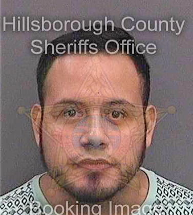 Gomez Jose - Hillsborough County, FL 