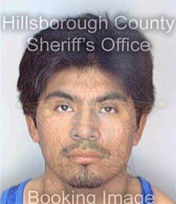 Hernandez Florencio - Hillsborough County, FL 