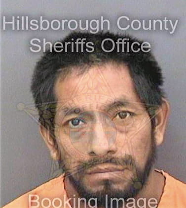 Shilonsantiz Manuel - Hillsborough County, FL 