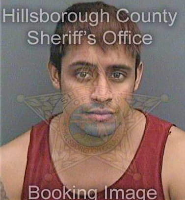 Ferrera-Murillo Christopher - Hillsborough County, FL 