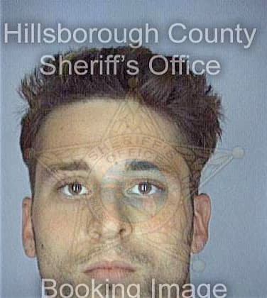 Nickerson Gregory - Hillsborough County, FL 