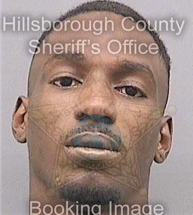 Warren Reginald - Hillsborough County, FL 