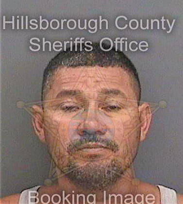 Floresmartinez Samuel - Hillsborough County, FL 