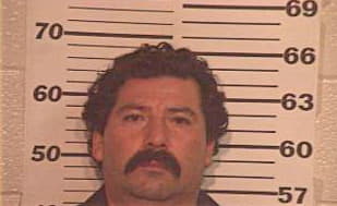 Hernandez Esteban - Hidalgo County, TX 