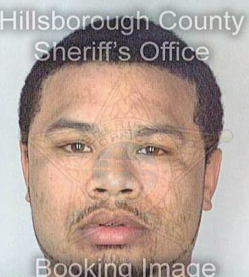 Mckinsey Estelle - Hillsborough County, FL 