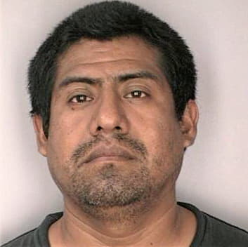 Lopez Francisco - Hillsborough County, FL 