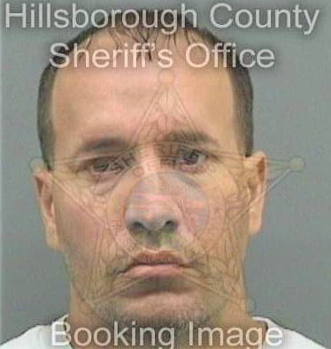 Lopezmendez Jose - Hillsborough County, FL 