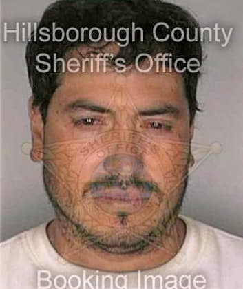 Melgoza Arturo - Hillsborough County, FL 