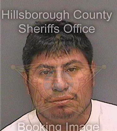 Cruzmarquez Reyes - Hillsborough County, FL 