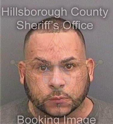 Soto-Mojica Roberto - Hillsborough County, FL 