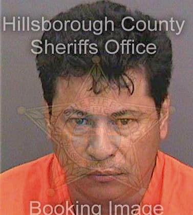 Diaz Estreberto - Hillsborough County, FL 