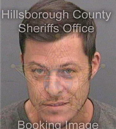 Mctaggart Ryan - Hillsborough County, FL 