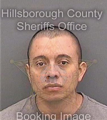 Chacsolval Carlos - Hillsborough County, FL 