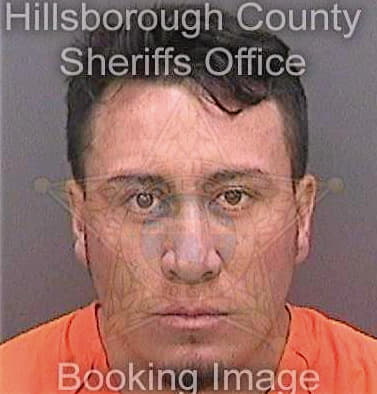 Magallonsalcedo Carlos - Hillsborough County, FL 