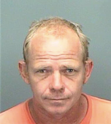 Strickland Gregory - Pinellas County, FL 