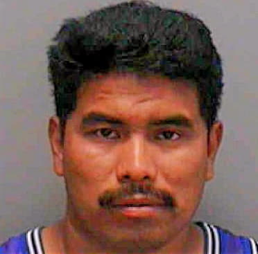 Hernandez Miguel - Lee County, FL 