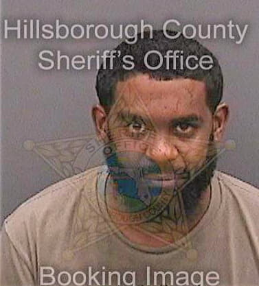 Smith Brendan - Hillsborough County, FL 