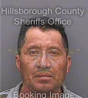 Domingueznieto Valentin - Hillsborough County, FL 