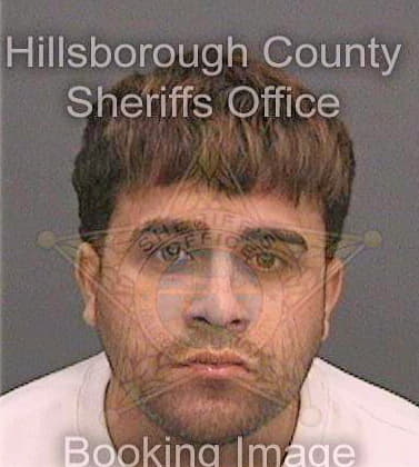 Medinavazquez Jonathan - Hillsborough County, FL 