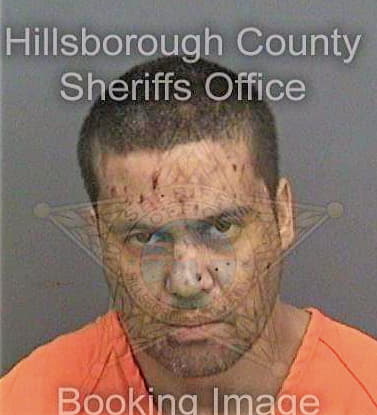 Boyer David - Hillsborough County, FL 