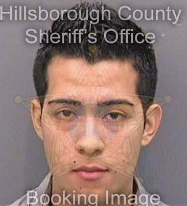 Gonzaleztrujillo John - Hillsborough County, FL 