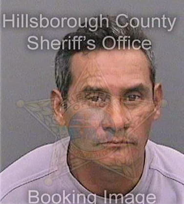 Sanchez Noe - Hillsborough County, FL 