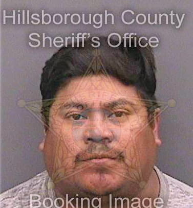 Claudiomedina Rogelio - Hillsborough County, FL 