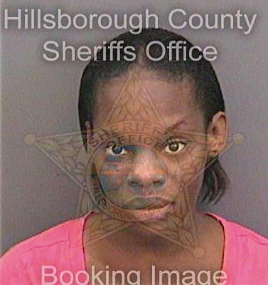 Mcclinton Tamara - Hillsborough County, FL 