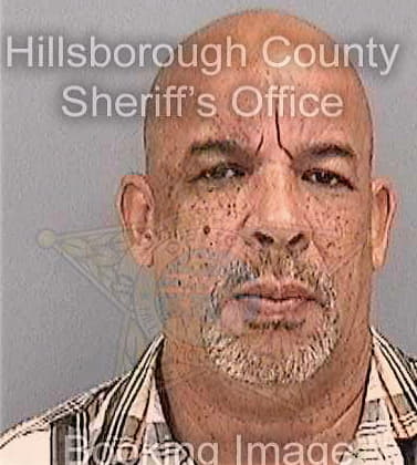 Mcpherson David - Hillsborough County, FL 