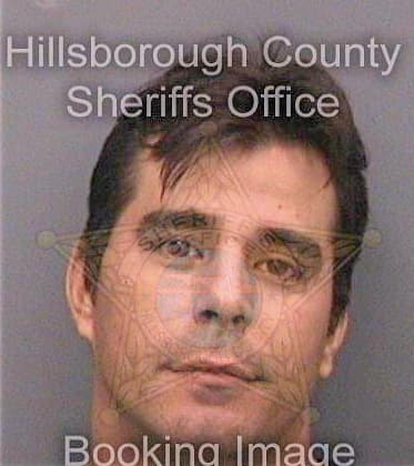 Gonzalezmachado Livanky - Hillsborough County, FL 