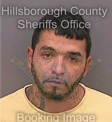 Diaz Miguel - Hillsborough County, FL 