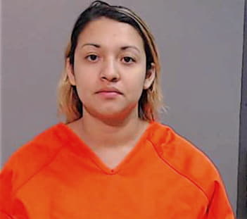 Garcia Nicole - Hidalgo County, TX 