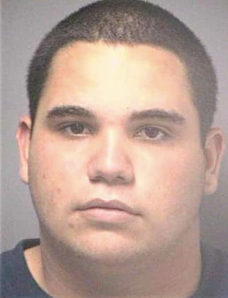 Carmonamorejon Yoan - Hillsborough County, FL 