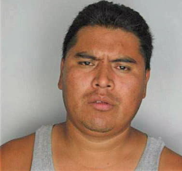 Mendozamiguel Efrain - Hillsborough County, FL 