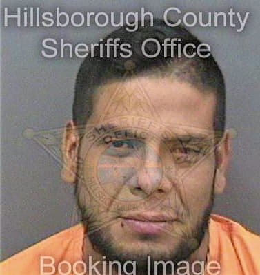 Vasquez Raul - Hillsborough County, FL 