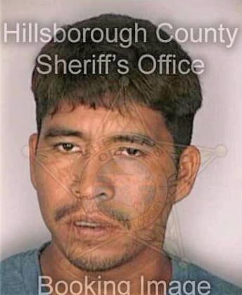 Diego Macario - Hillsborough County, FL 