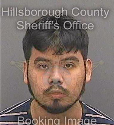 Torres Marco - Hillsborough County, FL 